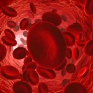Terapia anticoagulantă: medicamente, complicatii, principii