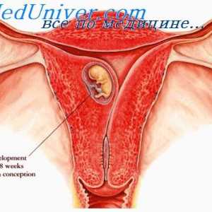 Glanda tiroidă în timpul sarcinii. Creșterea în greutate la femeile gravide