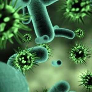 Infecții bacteriene