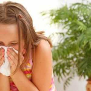 Bacteriile cauza bolilor respiratorii