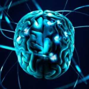 Bolile demielinizante ale sistemului nervos: simptome, tratament, cauze