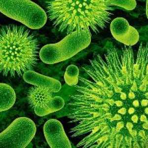 Colon dysbacteriosis, intestin subțire și rect