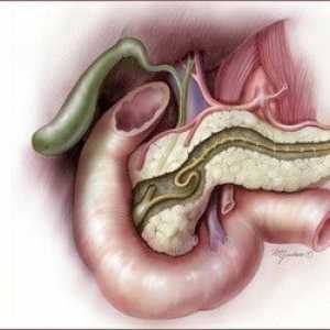 Disfuncție pancreatică: simptome, tratament, dieta