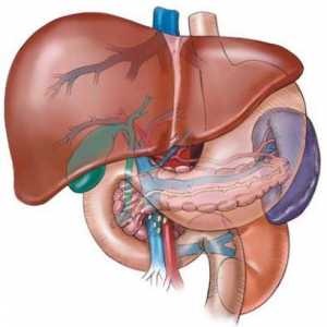 Hepatomegalie și sindromul hepato splenic