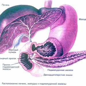Hepatomegalia, steatoza pancreatită și pancreatice și hepatice