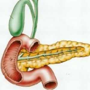 Funcția umorală a pancreasului