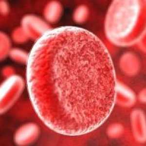 Trombocitopenia imună: tratament, simptome, prognosticul
