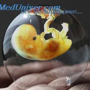 Modificări ale uterului în timpul implantării. Structura placentei