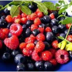 Fructe de padure cu pancreatită