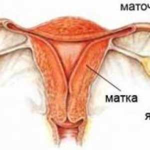Ovarele la femei, simptome, tratament, cauze, simptome