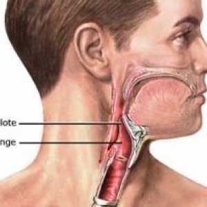 Epiglotita: tratament, simptome, diagnostic, cauze