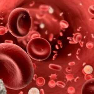 Trombocitoza esențială: tratament, prognosticul, prevenirea