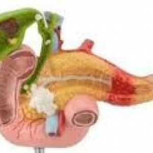 Yoga pentru pancreatita pancreatic