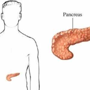 Ce face pancreatic uman?
