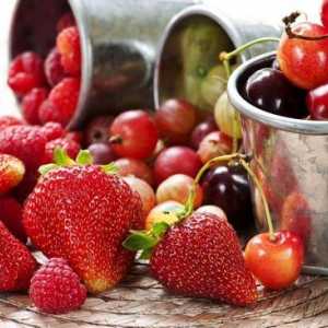 Caise uscate, prune, struguri, cătină: unele fructe de pădure și fructe uscate pot fi la un ulcer…