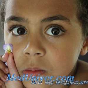 Tratamentul sindromului nefrotic la copii. hormoni