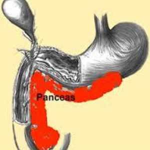 Tratament de pancreatită (pancreatic), în faza acută