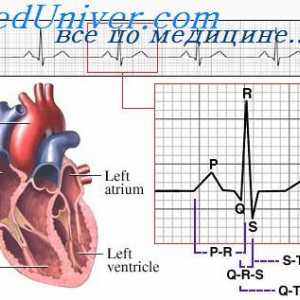 Distribuția curentului electric în jurul inimii. ECG în jurul inimii