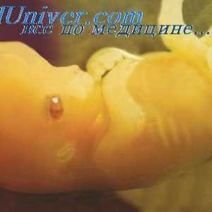 Embrion sinusul urogenital. Dezvoltarea organelor sexuale ale fătului