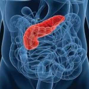 Insuficiență pancreatică: simptome, tratament, cauze, simptome