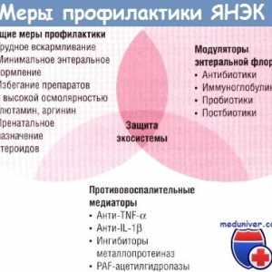 Direcții moderne de prevenire a ulcerativă enterocolitei necrozante (yanek)