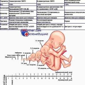 Estimarea avortului nașterii. Clasificarea întârzierii creșterii fetale