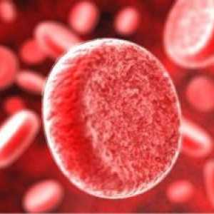 Determinarea numărului de trombocite din sânge