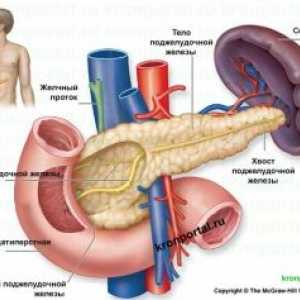 Pancreatita tratament, simptomele, cauzele