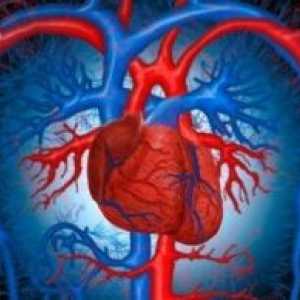 Patogeneza insuficienței circulatorii