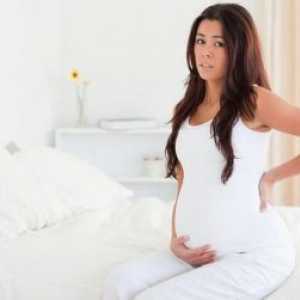 Pielonefrita (gestational, cronică), în timpul sarcinii, tratament, simptome, semne, cauze