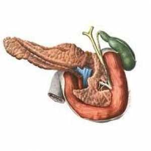 Pancreas pe Ayurveda