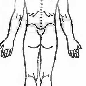 Practica de întindere a mușchilor de la dureri de spate