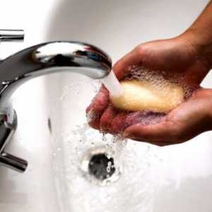 Prevenirea Enterobiasis la copii și adulți, măsuri și reguli de igienă