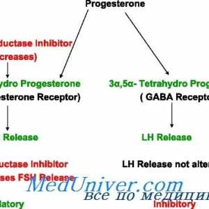 Sinteza progesteronului, metabolismul. receptorii de progesteron