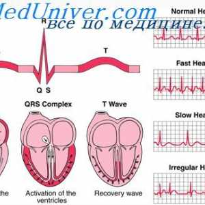 Ciclu cardiac. electrocardiograme de comunicare și ciclul cardiac