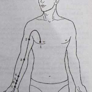 Amplasarea și anatomie a punctelor corpului pentru aromaterapie. Meridian pericard