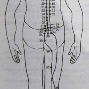 Amplasarea și anatomie a punctelor corpului pentru aromaterapie. vezicii urinare Meridian