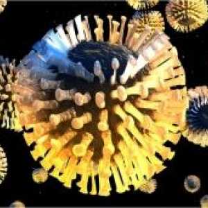 Rotavirus la copii: tratament, simptome, semne, prevenirea decât vindecarea