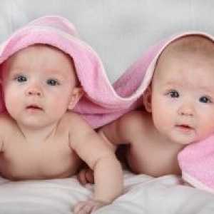 Nașterea gemenilor, probabilitatea nașterii