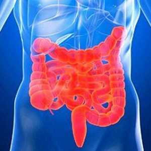 Simptomele sindromului de intestin iritabil (IBS)