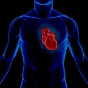 Statistica cardio sistemului vascular