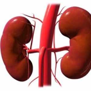 Stenoza și ocluzia arterelor renale: simptome, cauze, tratament, simptome