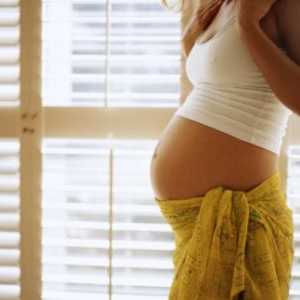 Cum de a determina cât de multe săptămâni de sarcină. Cum de a determina vârsta gestațională?…