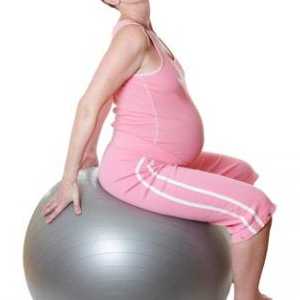 Ce exerciții nu se poate face pentru femeile gravide. Exercitii pentru femeile gravide la termen.…