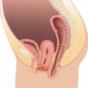 Ptoza col uterin după naștere.