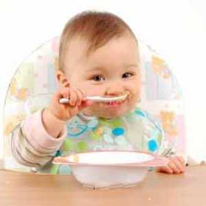 Copii alimentația corectă până la un an. copil nutriție adecvată. Cum de a găti terci pentru copil?