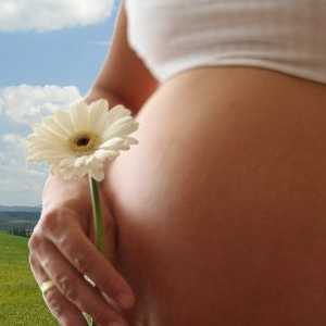 Suplimentarea cu calciu în timpul sarcinii. Bea de calciu in timpul sarcinii. Face pentru lipsa de…