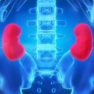 Un prejudiciu de rinichi: tratament, simptome, semne, prim ajutor