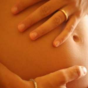 Gestație uterină