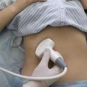 Ultrasunete (diagnostic cu ultrasunete) a pancreasului, rata de marimea corpului